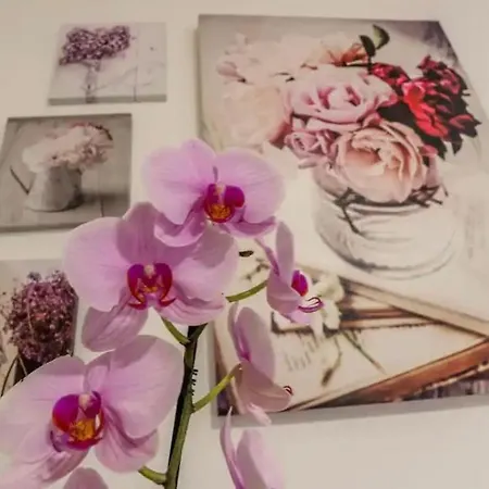 Rose Apartment *